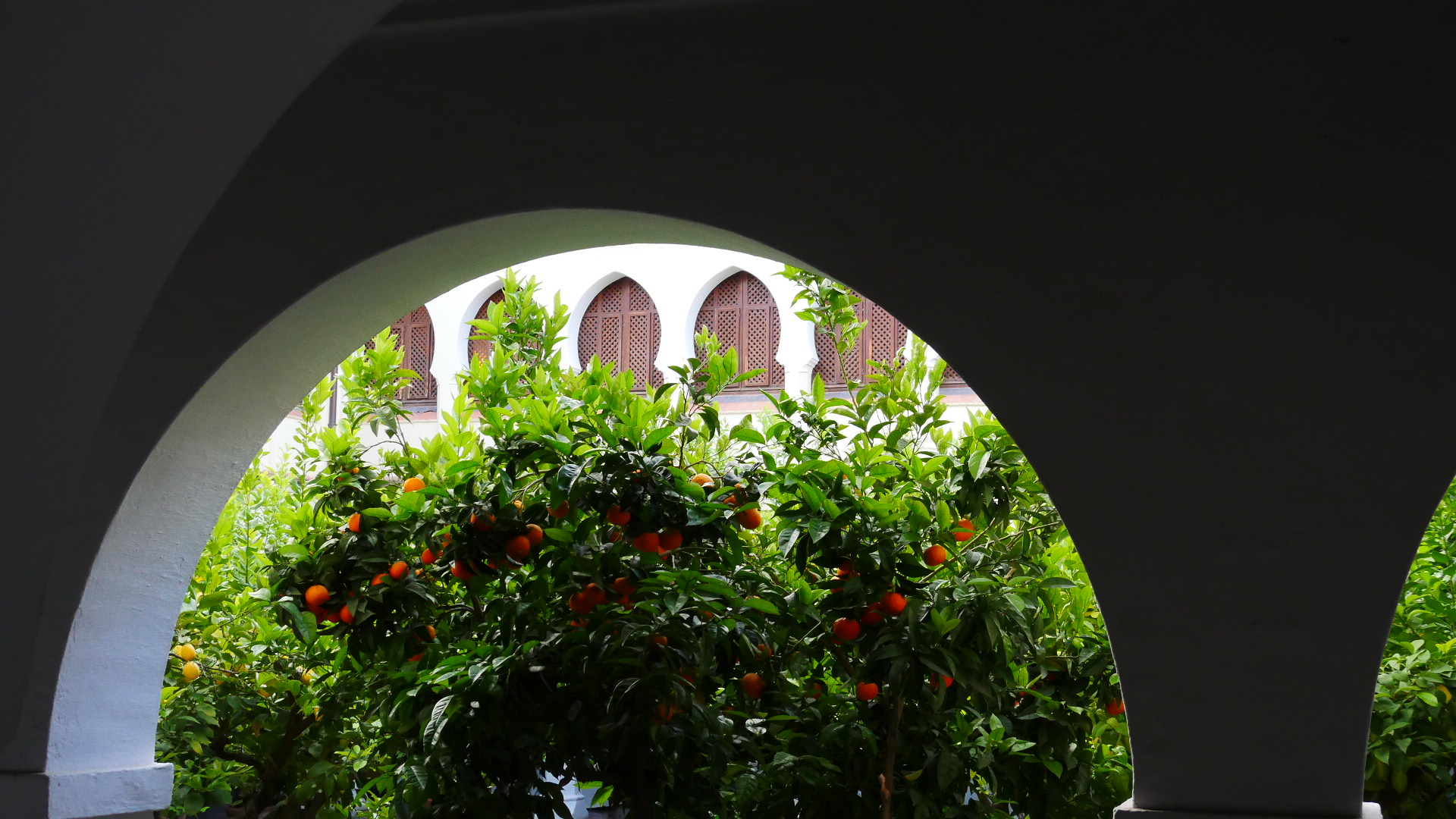 Photo of an orange trees in a plaza, Places of Contemplation near Our Lady of Guadalupe in Spain