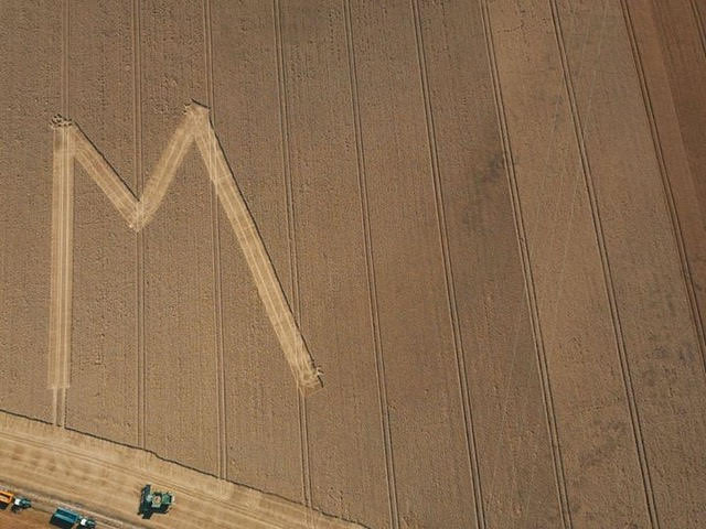 Photo of an M carved out in a wheat field in France along the M route.