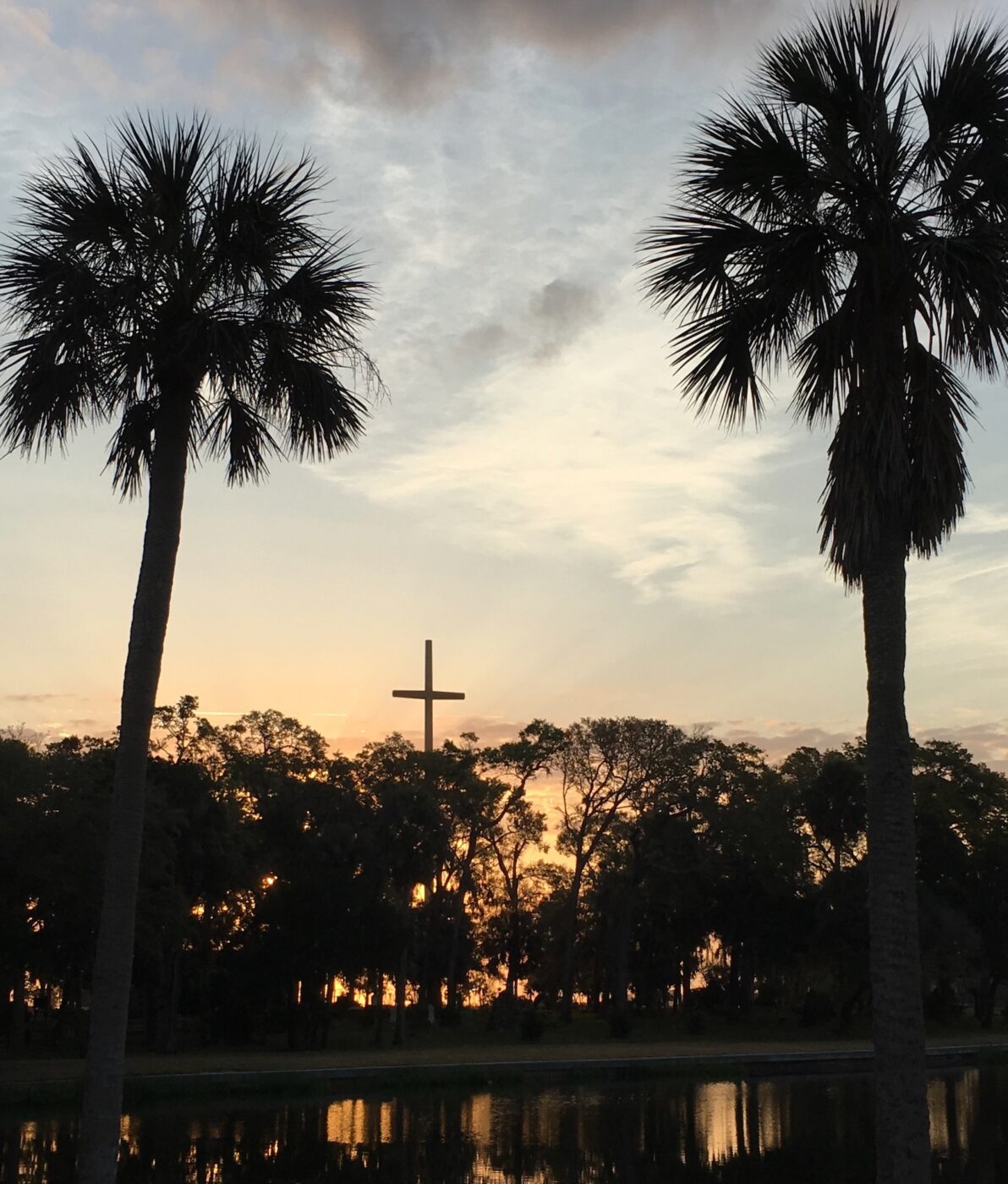 Pictured is a sunrise view of the 200' tall cross on the grounds of the Our Lady of La Leche Shrine in St. Augustine, Fllorida.