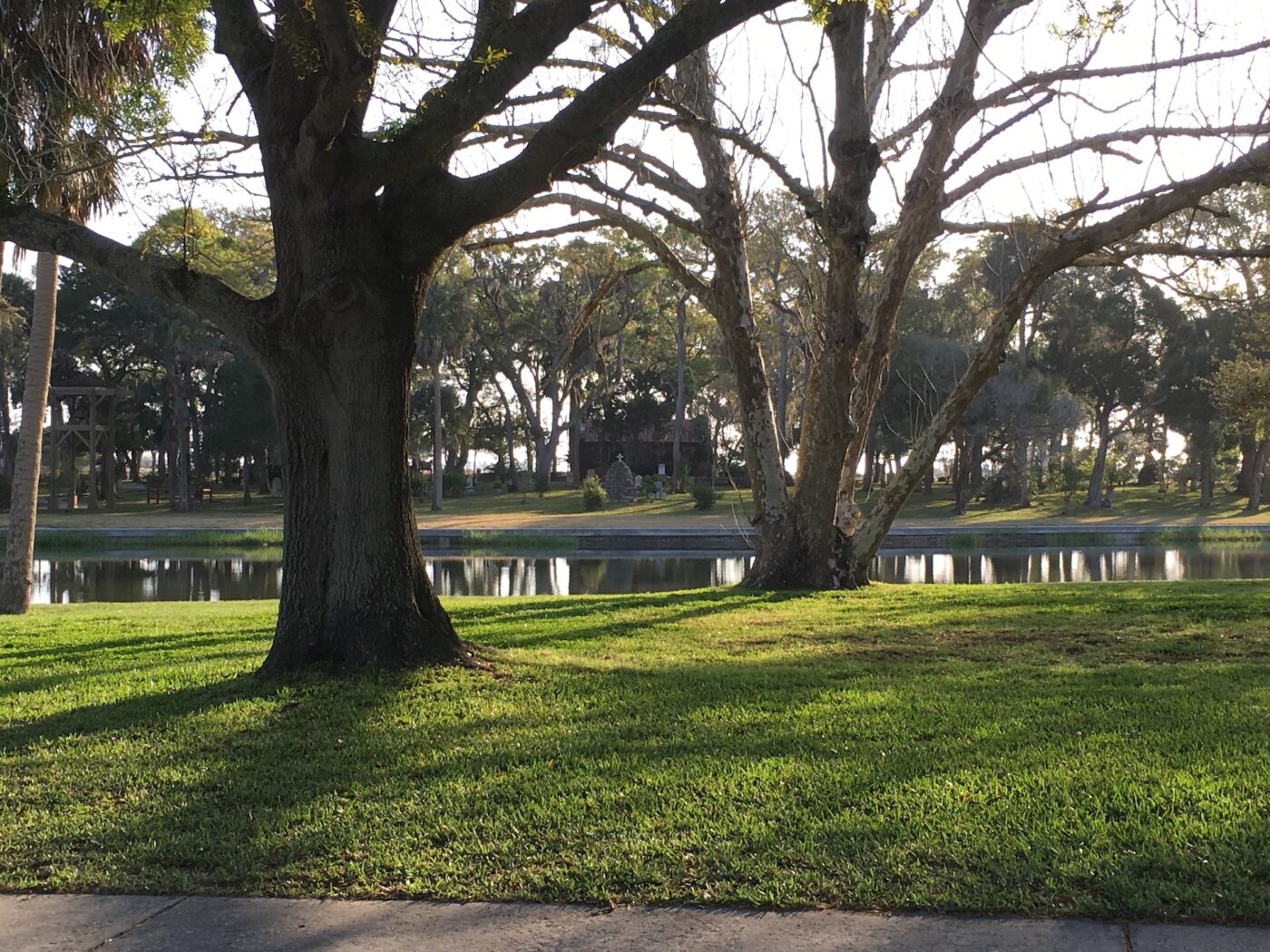 Pictured is the grounds of the Our Lady of La Leche Shrine in St. Augustine, Fllorida. The shrine building is just visible within the trees.